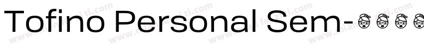 Tofino Personal Sem字体转换